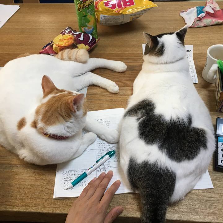 Fe8f30e5 5a2a 433f 926a 238c57fcce49