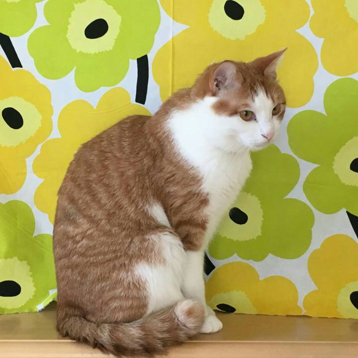 Fe8f9868 42e6 4378 b82e a61180e0bccc