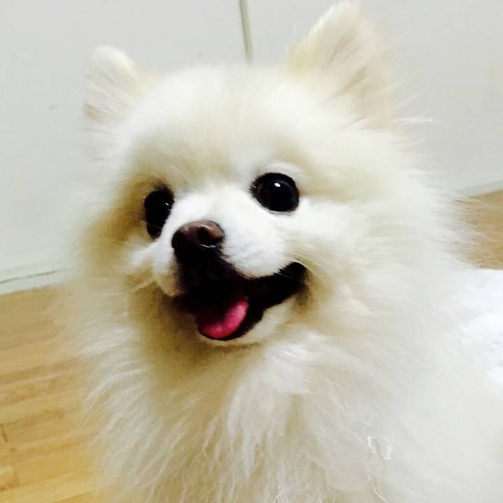 Fe8fed00 bdd3 4fbf b2d5 2772d7ce0ac7