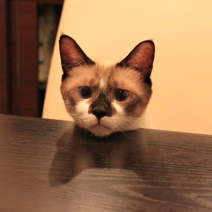 Fe908fec b2f7 424c b23f 8a21a1b809f3