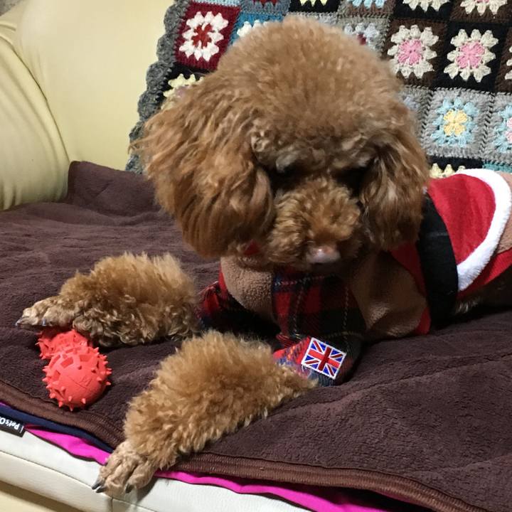 Fe911687 306b 4b1c 8668 03e4767601d4