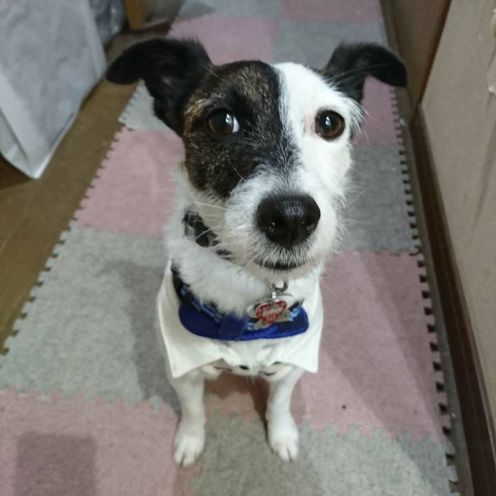 Fe9129cb 65fc 4f1a 9098 0f3dffa99813