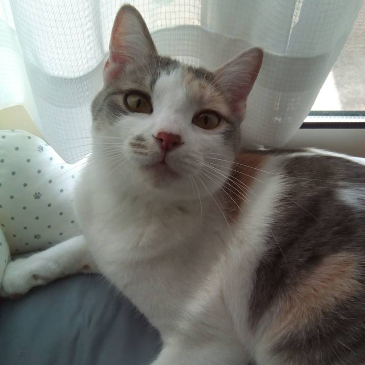 Fe91a00f 4ad9 43bf ba5e 3fba85317160