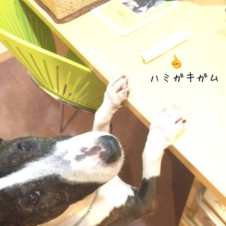 Fe927b54 ee3e 4327 aeb6 e9e83e59b6ab