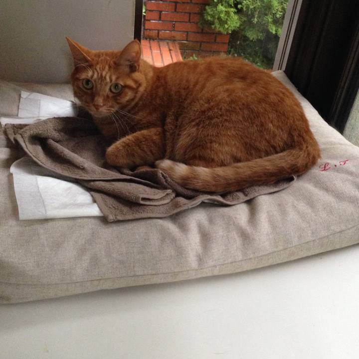 Fe92cac5 7301 4f44 808f c91c17757245