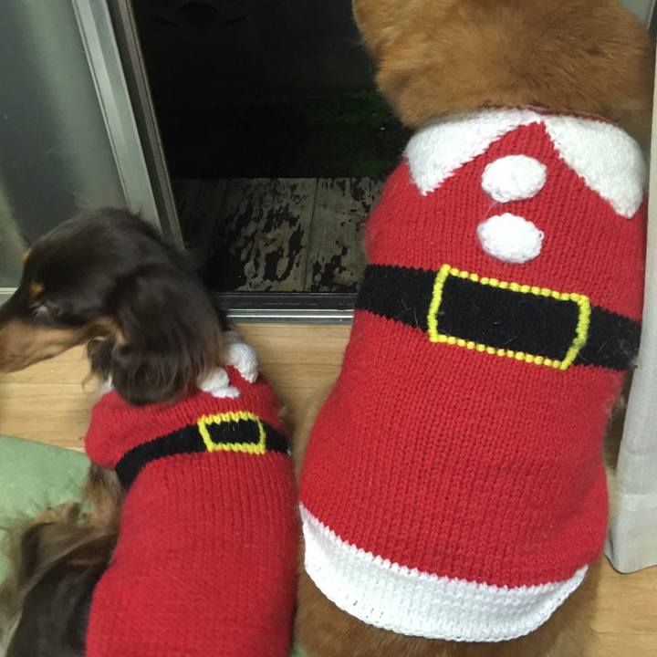 Fe9313c1 be7f 4f4a 8db2 7553e54a00c7