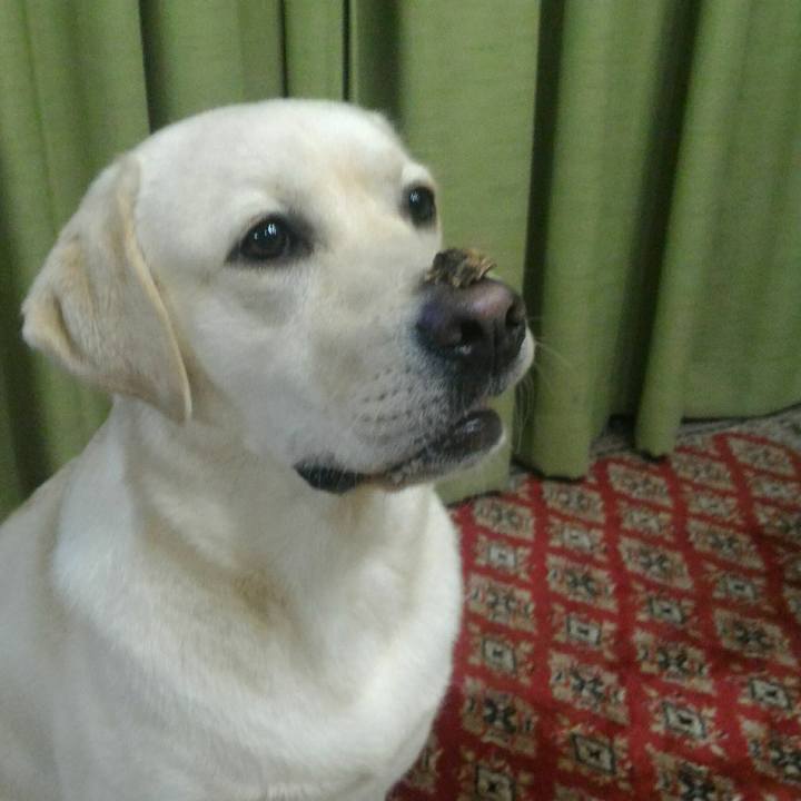 Fe937b00 41bc 47d4 8734 33a5ed8d55b0