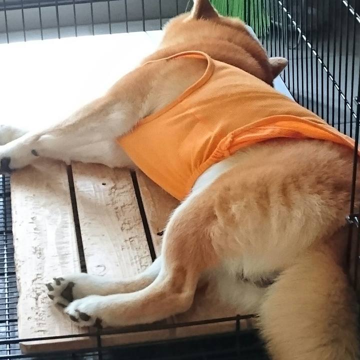 Fe93a267 a0bb 4605 b08d b544c2047081