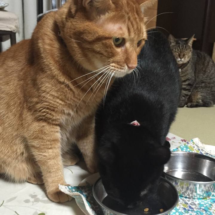 Fe955743 8c0e 43ab 9389 3ba98683f729