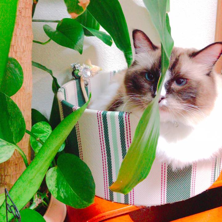 Fe956c5c 95a9 48da 8542 2953a0477e70