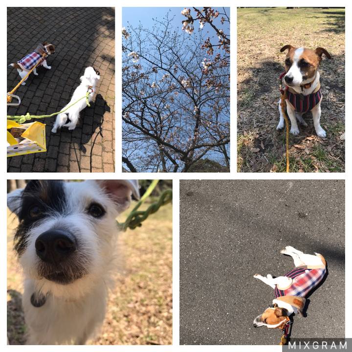 Fe95c3ef 6684 4294 bfb6 78418d3f49de