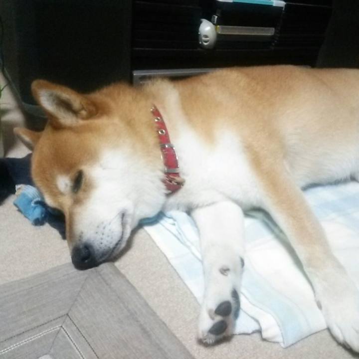 Fe96853f ad57 4723 9f36 c0f81256fc15