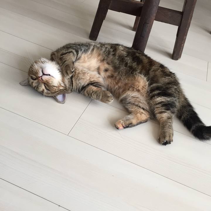 Fe96d232 a6d2 45df ae3e 884841bfd5fe