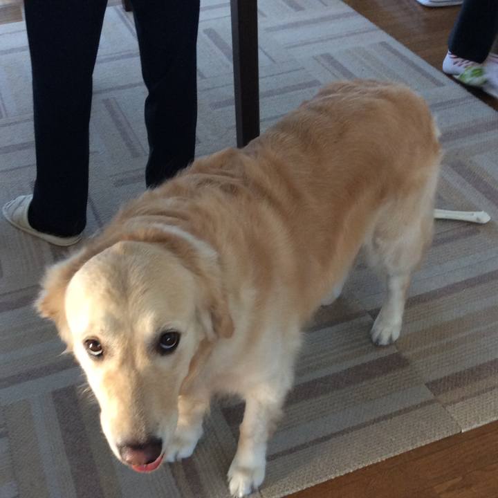 Fe97509d b446 4f38 b9da d8a1ffe3a443