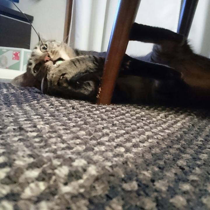 Fe97cc0a f8c3 42f4 867c db96c917a956