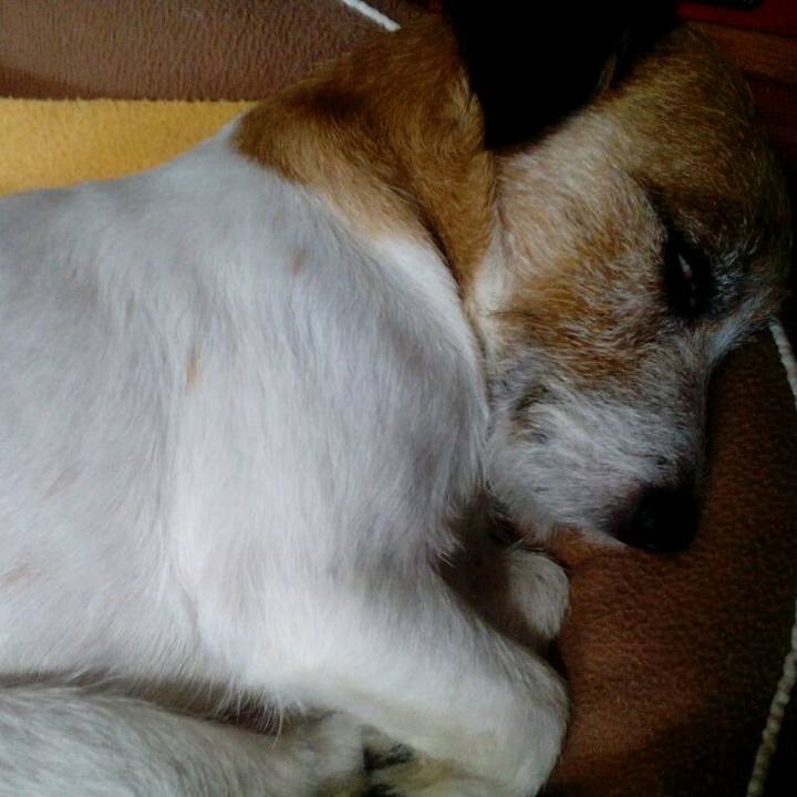 Fe983472 d4a1 4ad5 9e36 4eb946ff82fb