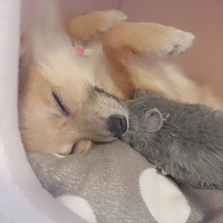 Fe985400 5d77 4a56 8517 a24ff6f4c3bf