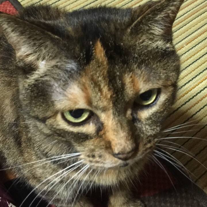 Fe98b76e 2a6e 41d8 bd5c a554a390f91c