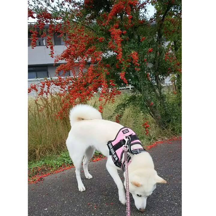 Fe9918e0 15a3 4a86 83be 5d3c474c28a9