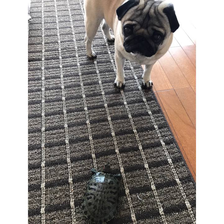 Fe99b4b8 cadd 4093 90bc 23aebd5a5a5d