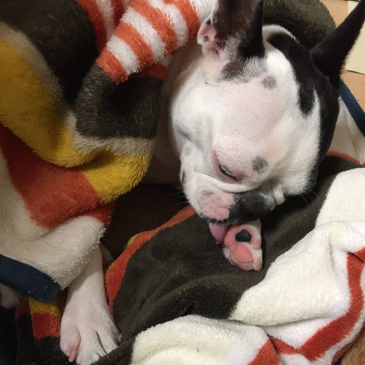 Fe99c50a a016 416d 995d d11357b59ec3