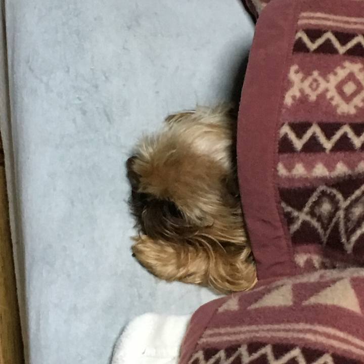 Fe99e29a ae4c 423b a4e2 79dd6603edd6