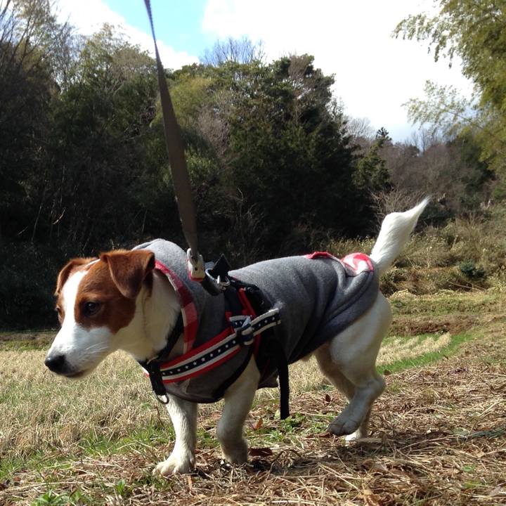 Fe9aa9b8 54fc 4424 9858 28a5cf423752