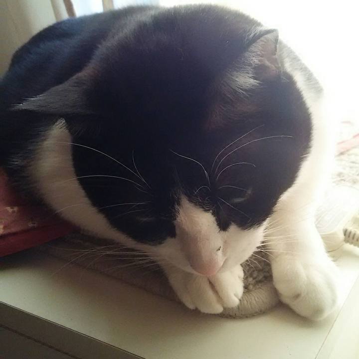 Fe9bcdfc a681 4f94 b7ff ea74d4b4a398