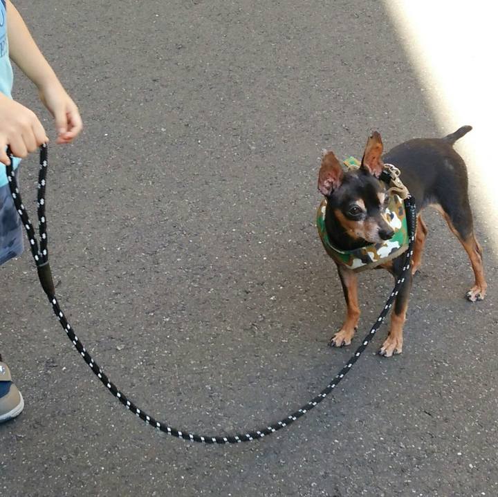 Fe9c723c 85a5 4b93 aca3 8c7f00d03953