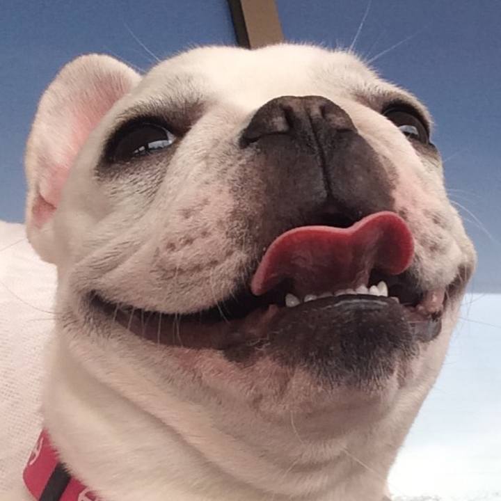 Fe9c992e 19fe 4576 b556 52b5d5b35dd5