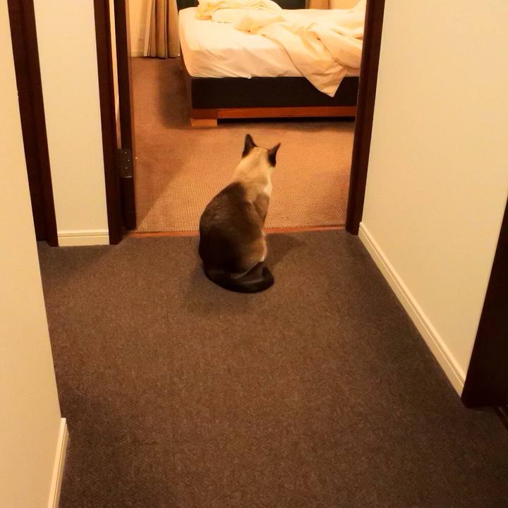 Fe9cd972 dfaf 48f6 a63d fe1e25b0efb4