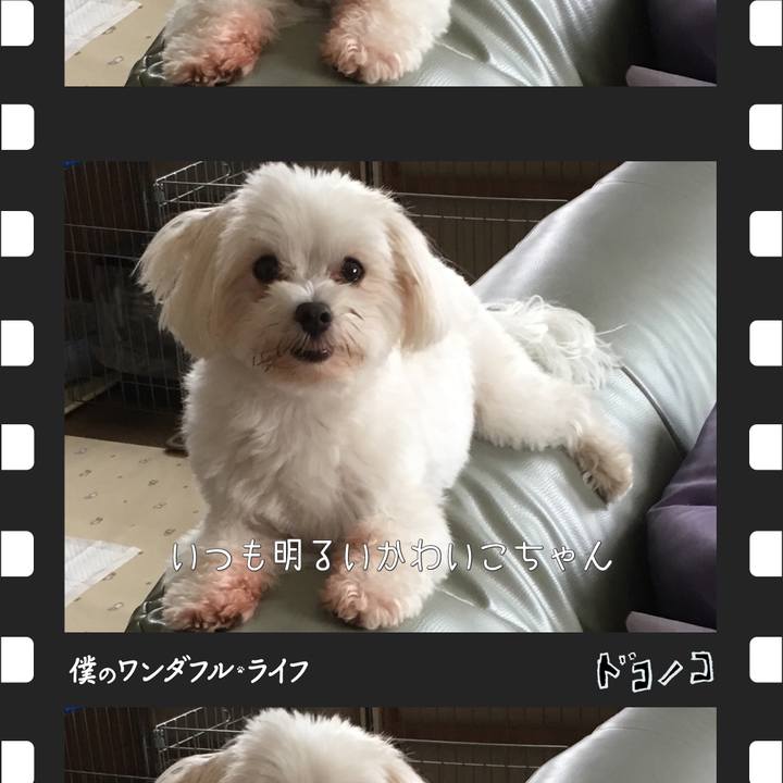 Fe9d6a47 cc0b 4e64 8102 3b20f038599f