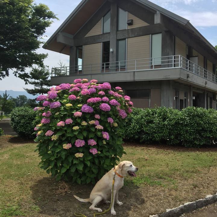 Fe9ee757 c78a 4043 9f09 c647d76ea099