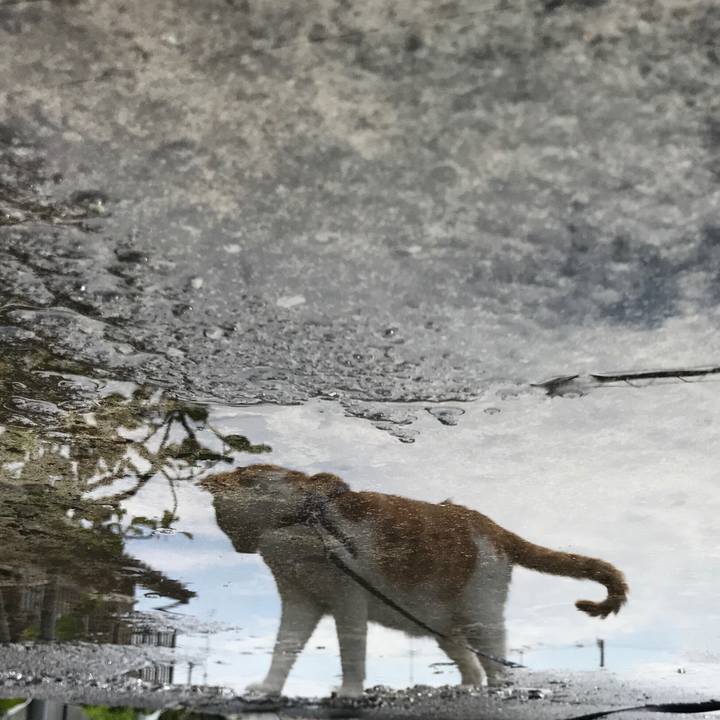 Fe9f45d2 9230 466c b40a ddeb3cd3bec2