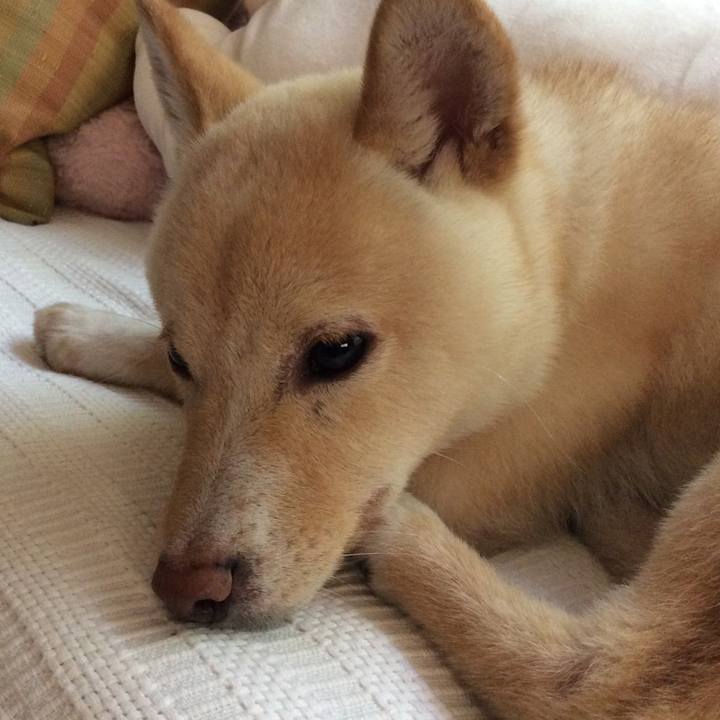 Fe9ff452 3bbb 473e ad1a e0fa5d7cfec5