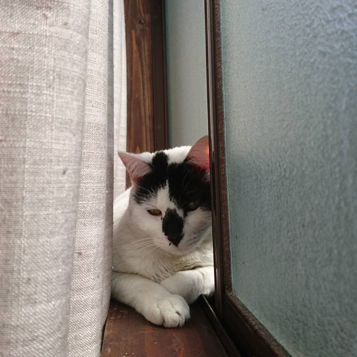 Fea01677 76d4 4451 9afe 11d845281b6e