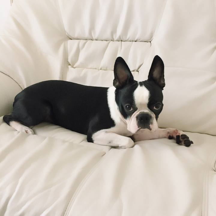 Fea026dc 431a 4c1c 8e32 5148f500a62f