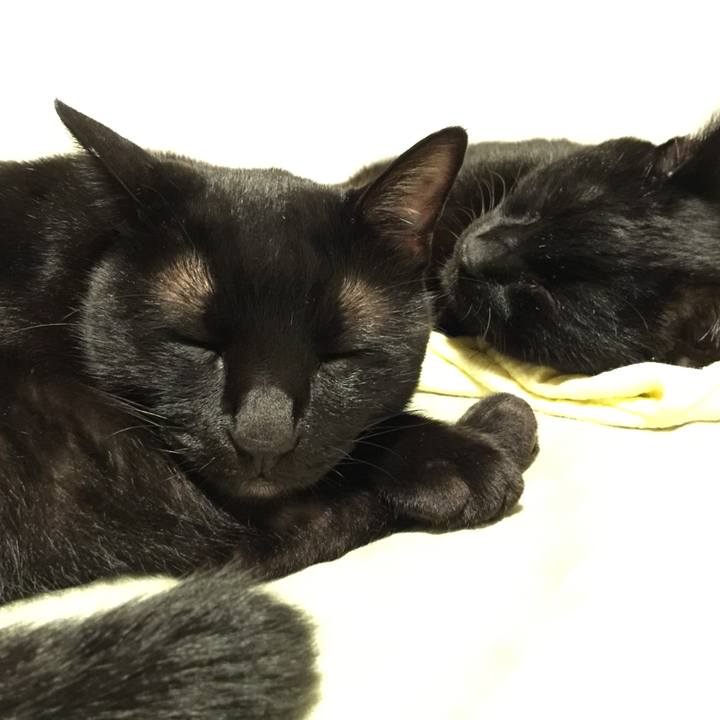 Fea02830 f52d 4d3c 976b 8cf8b8e39f76