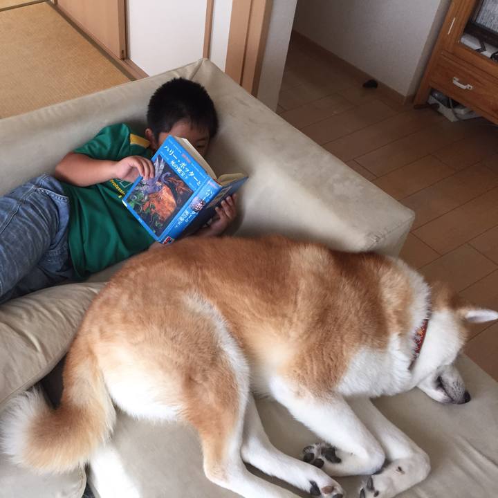 Fea053bc 5b59 4f21 9e9c a905f3ec21c6