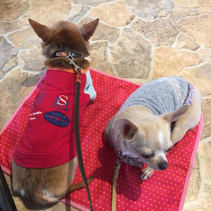 Fea07323 f594 4222 9649 64fb720b522c