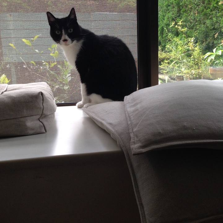 Fea08265 ed4b 4874 949c efd49cc7c533