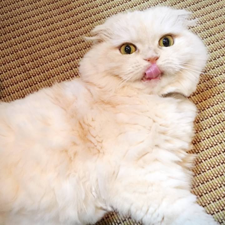 Fea0bdb0 8851 4e24 9756 e68bd2fa2e78