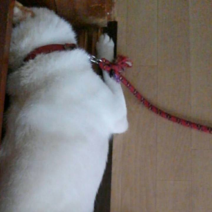 Fea1028a 543e 4fe1 ab54 2eee55fe8a4d