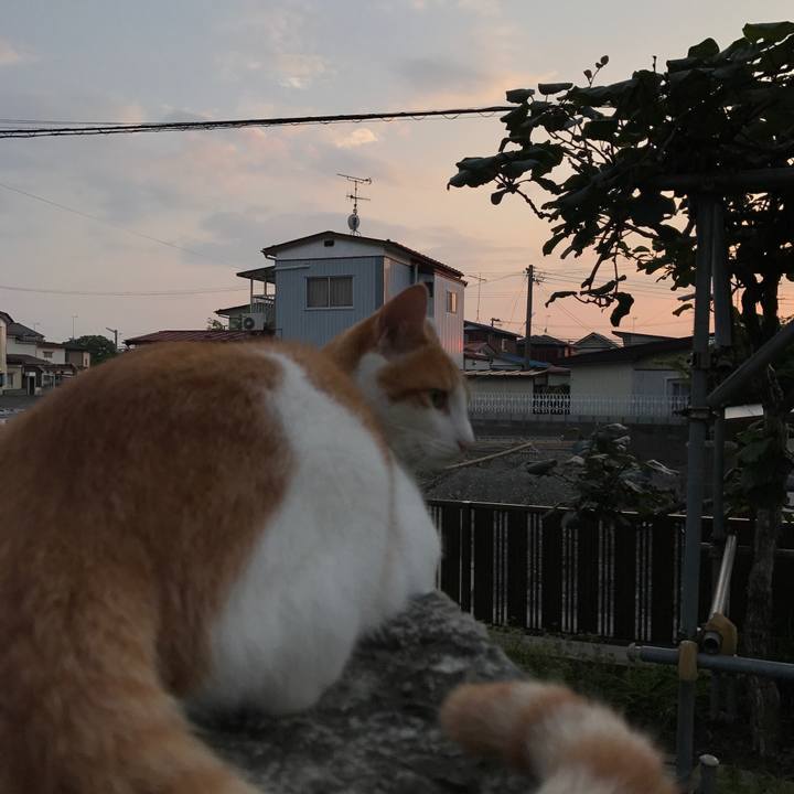 Fea21fc2 1b40 43fd ba44 e03c40d80c1a