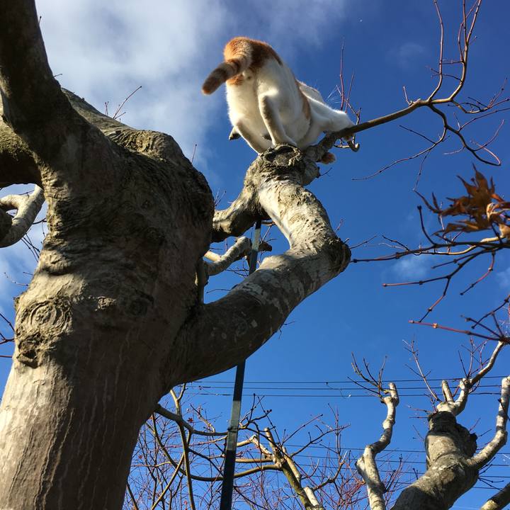 Fea39f9c 49a2 44a7 a9cf 33a26751dc89