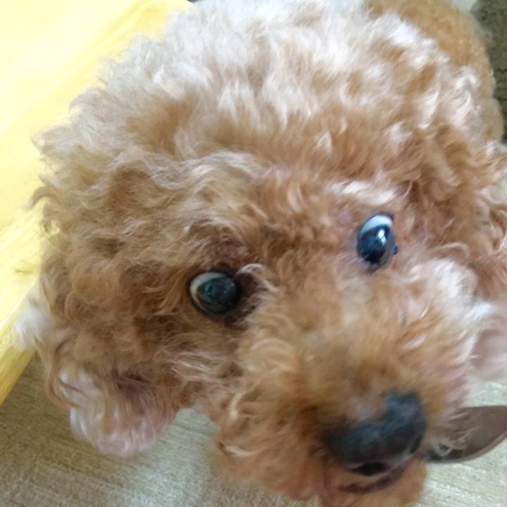 Fea3cca5 066b 423b a4e8 2a5b5e702786