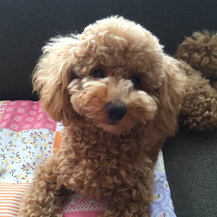 Fea47921 705d 4c23 830b 20e8e3ae8ed1