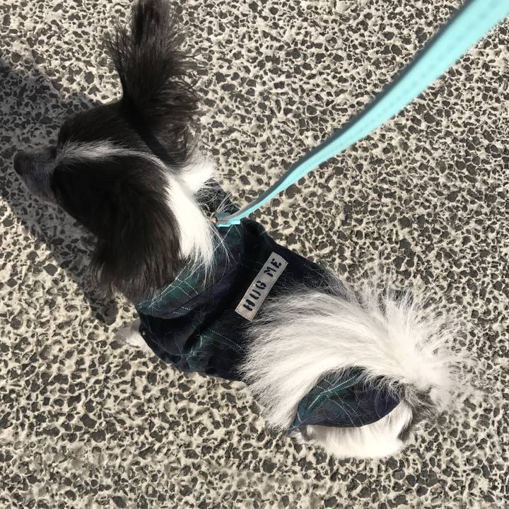 Fea4b546 f54d 4552 a0e8 03d1ab67d83d