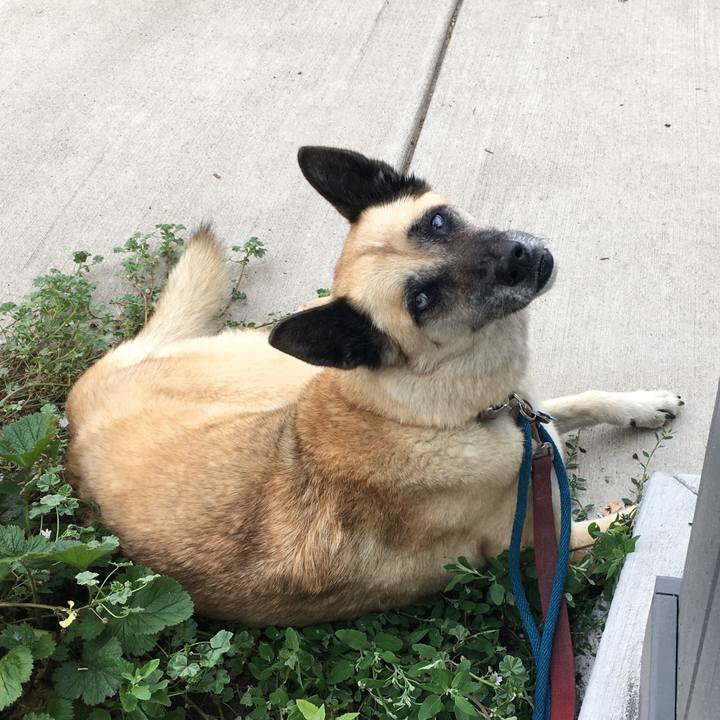 Fea5d35c 034b 410f a046 d45cdd9c19af