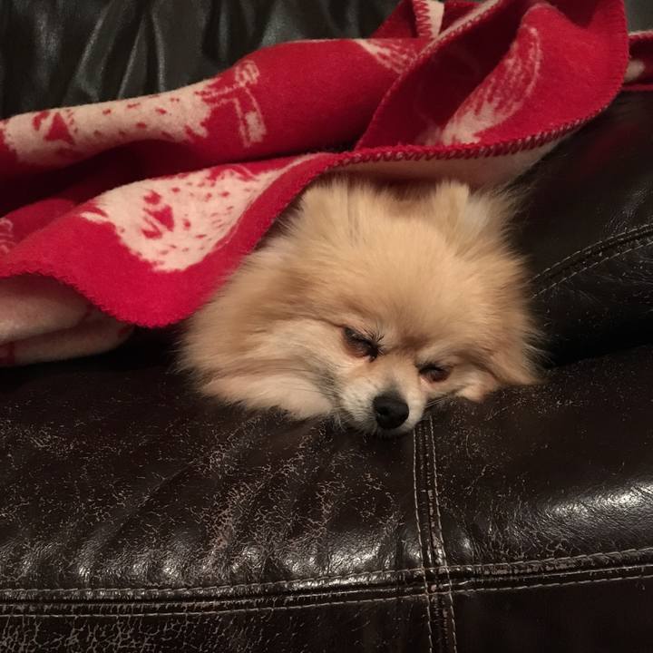 Fea5fe46 6c5a 430b bff3 697e8b9aab74